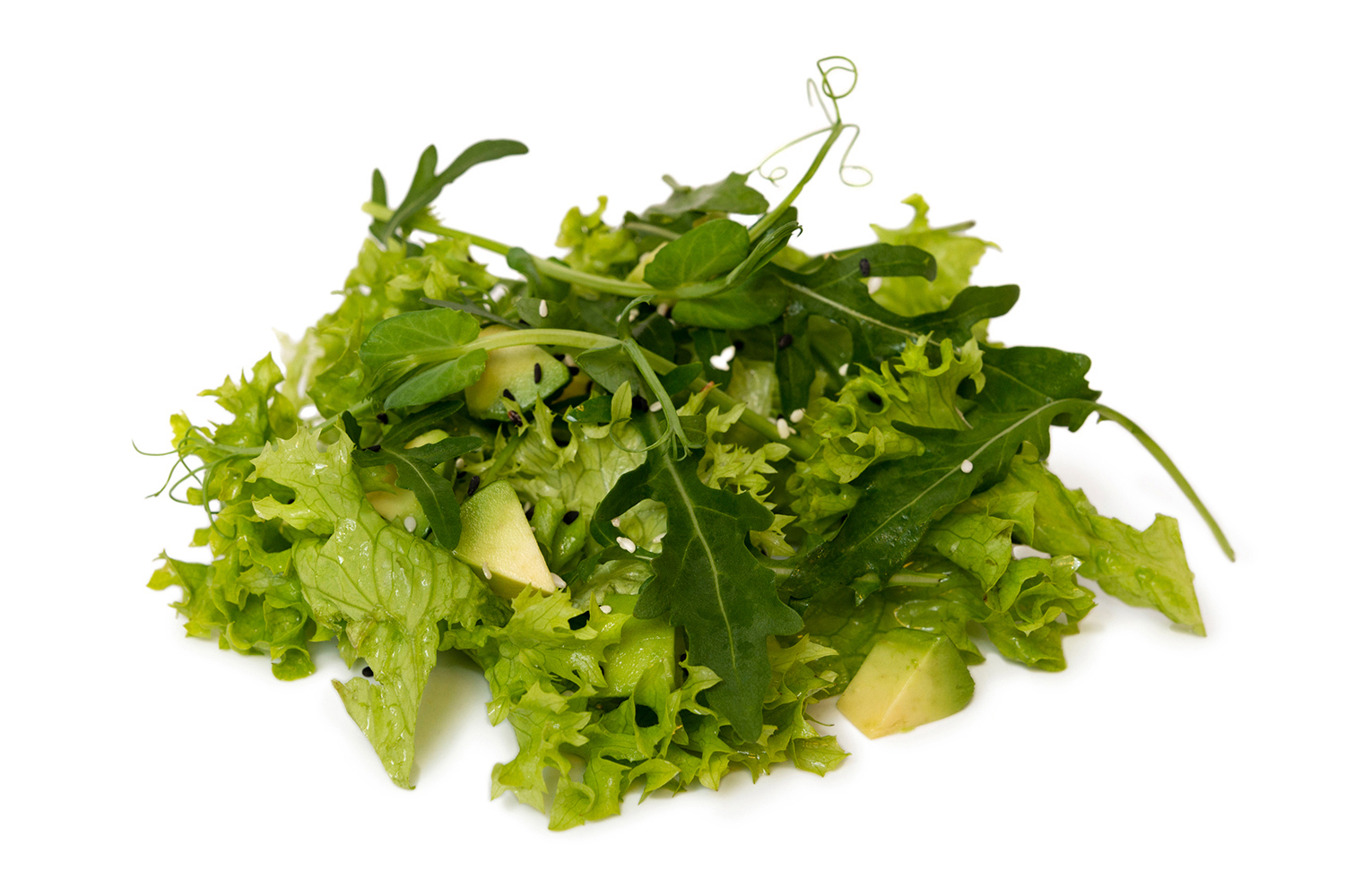 Evergreen Salade