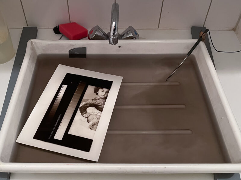 Tray of